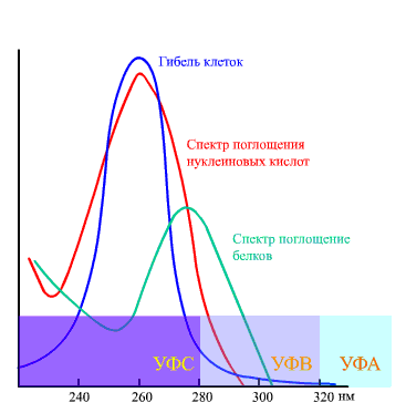 Спектры поглощения в УФ